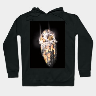 Hot head Hoodie